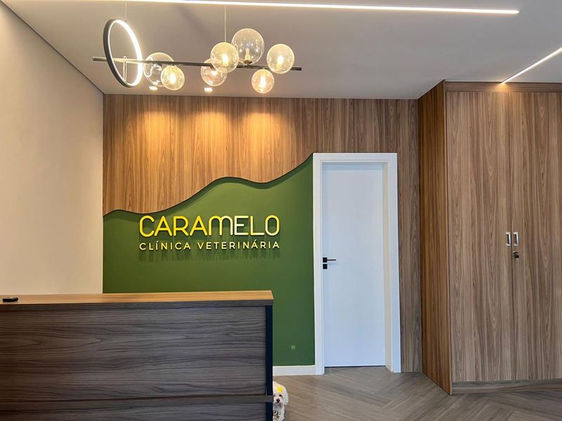 Foto da capa de Clínica Veterinária Caramelo Hospital 24HRS